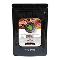 동이약초 국내산 영지버섯, 100g, 1개