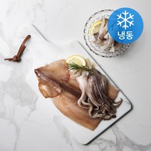 국산 손질 오징어 (냉동), 600g, 1개