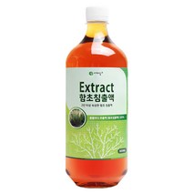 신안함초닷컴 함초침출액, 900ml, 1개