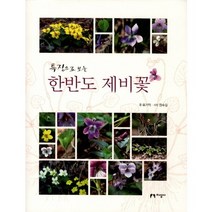 특징으로 보는 한반도 제비꽃, 지성사, 유기억 글/장수길 사진