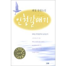 [고글]인천갈매기, 고글, 최청