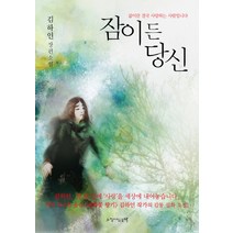 잠이 든 당신:김하인 장편소설, 느낌이있는책