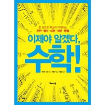 이제야 알겠다! 수학! : 한 권으로 확실히 이해하는 무한ㆍ함수ㆍ미분ㆍ적분ㆍ행렬, 해나무, 세야마 시로 저/허명구 역/이동흔 감수
