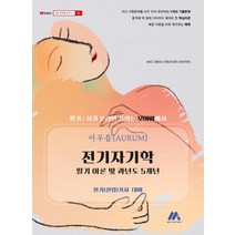 [모아팩토리] 아우름 전기자기학 필기 이론 및 과년도 5개년 전기(산업)기사 대비, 모아팩토리