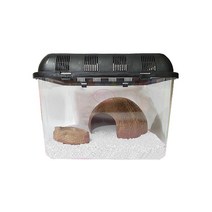 로라펫 2호 컬러스톤 크리스탈 화이트 소라게 키우기 세트, 1세트