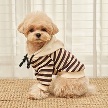 다양한 강아지예쁜옷 인기 순위 TOP100 제품들을 확인해보세요