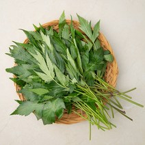 국내산 당귀잎, 100g, 1봉