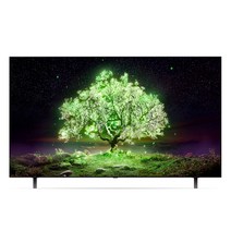 LG전자 올레드 TV, 163cm/65인치, OLED65A1ENA, 스탠드형, 방문설치