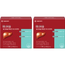 대웅제약 밀크씨슬 루테인 아스타잔틴 48g, 60정, 2개