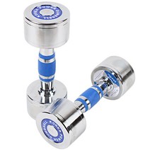 스포뱅크 고밀도 크롬도금아령 4kg, 2개입, 혼합 색상