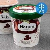 나뚜루 초코 아이스크림 (냉동), 474ml, 1개