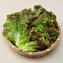 친환경 적상추, 200g, 1개