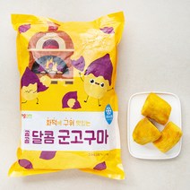 곰곰 달콤 군고구마, 1kg, 1개