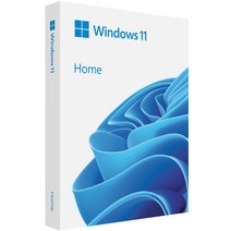 윈도우 11 홈 64bit DSP 한글 설치 제품키, windows 11 home dsp