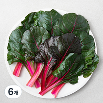 적근대, 150g, 6개