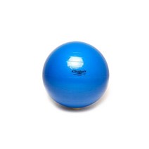 [세라밴드] 엑서사이즈볼 짐볼(블루 75cm) 뉴스포츠, 블루