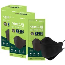에버그린 황사 방역 마스크 대형 KF94, 25개입, 2개