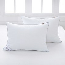 아유베딩 다운필 베개솜 2p, 화이트