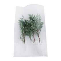 티나피크닉 눈내리는 마을 비접착 포장 봉투 12 x 20 cm, 1개입, 100개