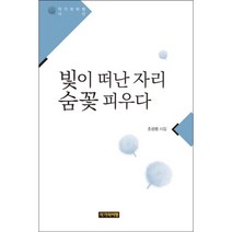 빛이 떠난 자리 숨꽃 피우다:조성범 시집, 작가와비평, 조성범
