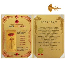 럭키심볼 황금 카네이션 감사장 + 24K 골드 카네이션 전자파 스티커, 1세트, 고마우신 부모님 상
