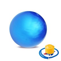 웰블러썸 안티버스트 짐볼 + 전용펌프, 블루