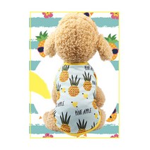 반려동물 SUMMER 과일패턴 티셔츠, 파인애플