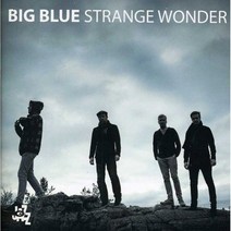 BIG BLUE - STRANGE WONDER EU수입반, 1CD
