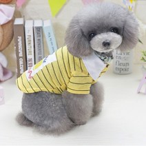 하라시코쿠키 반려견 꿀벌스타일 카라티, 노란