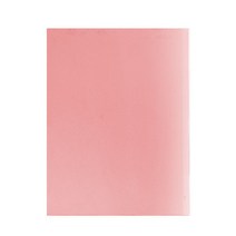 카피어랜드 PP 비닐 제본표지 0.43mm 100p, 사선투명 적색, A4