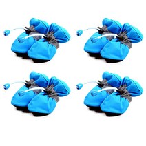 펫츠랜드 반려견 비비드 컴포트 슈즈 2세트, 블루