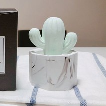 미쁘다 육각마블선인장 석고방향제 그린, 블랙체리