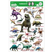공룡 벽보, 꾸러기