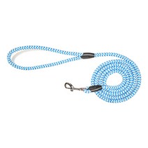 리얼펫 나인티모 리드, BLUE