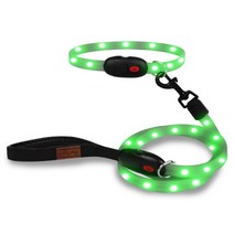 딩동펫 반려 동물 LED 플래시 목줄 + 리드줄 세트 S, 그린, 1개