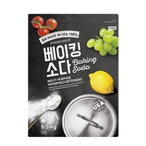내츄럴 베이킹소다 주방세제, 6.5kg, 1개