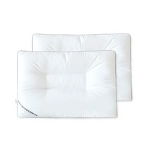 린튼 중량UP 호텔식 마이크로 다운필 경추베개솜 2p, 화이트, 2개