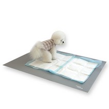 초코펫하우스 논슬립 클린 사각 배변판 매트 중형, 1개