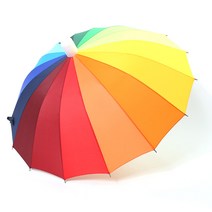 레이니드 워터 클린 우산 C타입