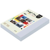 종이문화 프린트 프로 칼라 복사용지 No 19 미스티블루 80g, A5, 250개