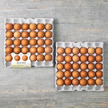 양지뜨레 무항생제 인증 햇살계란 대란 60구, 3120g, 1개