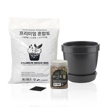 삼호유리 간편 분갈이 스프링 화분 세트, 그레이