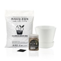 삼호유리 간편 분갈이 파리 화분 세트, 화이트