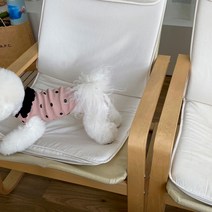 매그독 반려동물 도트 프릴 민소매 티셔츠, 핑크