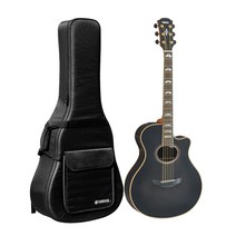 야마하 포크기타 CPX1200 + 전용케이스, APX1200, TB