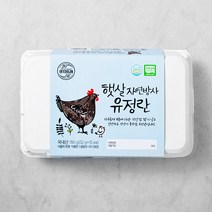 양지뜨레 무항생제 자연방사 유정란 1번란 15구, 1개