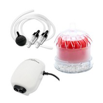 아쿠아테라 기포발생기 쌍기 에어펌프 여과 풀 세트 CHPT-8070 레드, 2.5W, 1세트