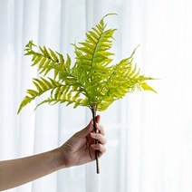 아티파티 조화 고사리부쉬 실크블라워, 노무라고사리