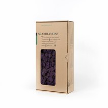 스칸디아모스 이끼 RM500 퍼플 500g, 1개