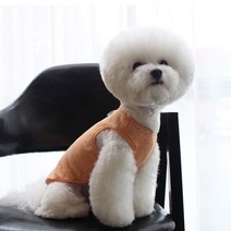 로로독 반려동물 하바나 민소매 티셔츠, 오렌지